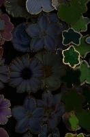 2013-11-10-20.50.43 ZS DMap.jpg